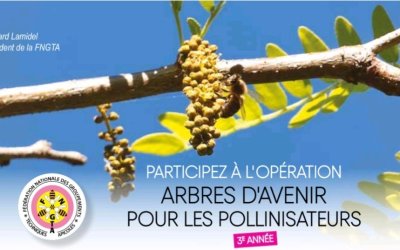 APIFORESTERIE :  FNGTA – ARBRES d&rsquo;AVENIR -Opération 2026 –
